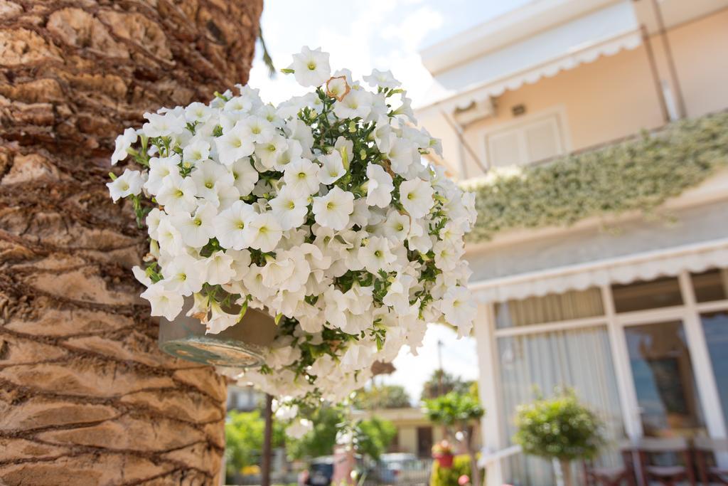 Hotel Akti Livanátai المظهر الخارجي الصورة